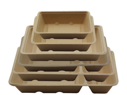 800 Stück Bagasse Imbiss- Snackschale A22 (A9+1), (325+75ml), 2-geteilt, 203x97x36mm, Natur