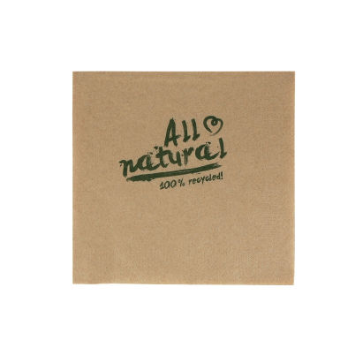 250 Stück Green Nature Papier-Servietten  2-lagig, 40x40cm, 1/4 Falz, braun, Bio Druck