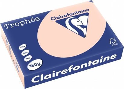 250 Blatt Kopierpapier Clairalfa Universal-Papier Trophée (Lachs) DIN A4, 160 g/qm 250 Blatt Kopierpapier Clairalfa Universal-Papier Trophée (Lachs) DIN A4, 160 g/qm