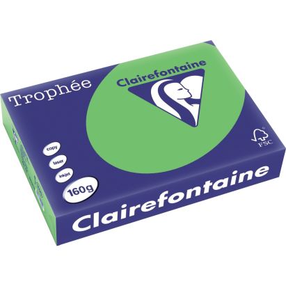 250 Blatt Kopierpapier Clairalfa Universal-Papier Trophée (Maigrün) DIN A4, 160 g/qm