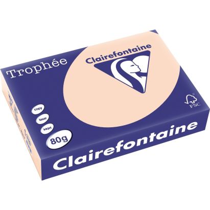 500 Blatt Kopierpapier Clairalfa Universal-Papier Trophée (Lachs) DIN A4, 80 g/qm 500 Blatt Kopierpapier Clairalfa Universal-Papier Trophée (Lachs) DIN A4, 80 g/qm