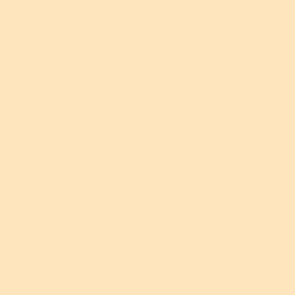 10 Stück Plakatkarton 48x68cm, 380 g/m², beige 10 Stück Plakatkarton 48x68cm, 380 g/m², beige