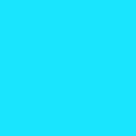10 Stück Plakatkarton 48x68cm, 380 g/m², taubenblau 10 Stück Plakatkarton 48x68cm, 380 g/m², taubenblau