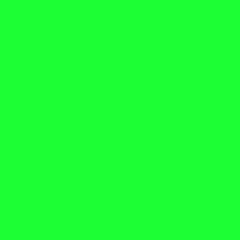 10 Stück Plakatkarton 48x68cm, 380 g/m², grasgrün 10 Stück Plakatkarton 48x68cm, 380 g/m², grasgrün