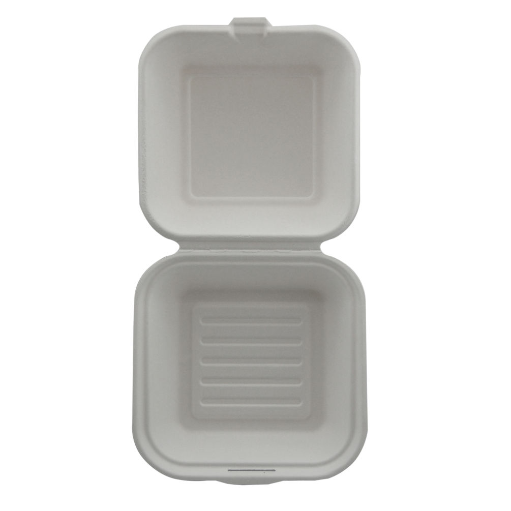 Produktbild von Greenkaufen Bagasse Menubox XXL 200x215x80mm – 50 Stück, Ungeteilt, Biologisch Abbaubar, Weiß