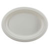  500 Stück Bagasse Pappteller Oval Ø26cm, 263x199x20mm, weiß